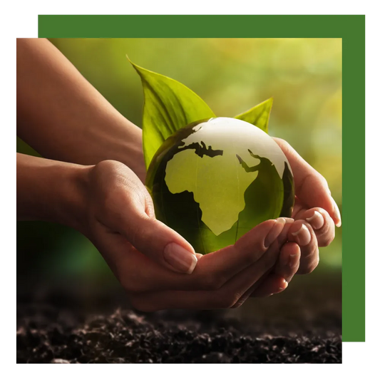 SUSTAINABILITY